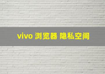 vivo 浏览器 隐私空间